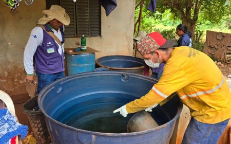 Epidemia de Chikungunya em Mato Grosso do Sul: Caixas d'Água se Tornam Focos de Proliferação