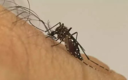 Corumbá registra primeira morte suspeita de dengue em 2026