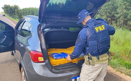 PRF apreende 169 quilos de maconha em Água Clara