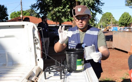 Dourados cria Centro de Emergência para combater chikungunya