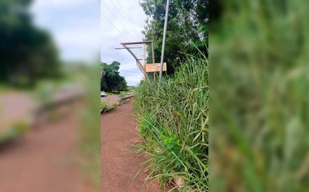 Ciclovias em Campo Grande: Mato Toma Conta de Pistas e Ciclistas Sofrem