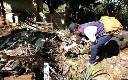 Dourados Registra 3 Mil Casos de Chikungunya