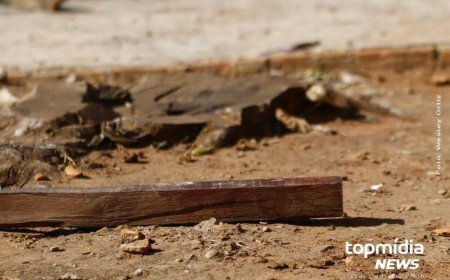 Irmão Agride Irmã com Pedaço de Madeira em Amambai