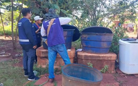 Dourados Recebe Reforço Contra Chikungunya