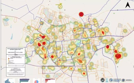 Chikungunya: Doença Alastrada em Dourados