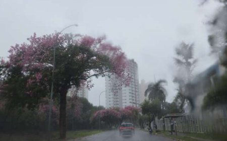 Mato Grosso do Sul Enfrenta Mudanças Climáticas