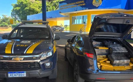 Maconha apreendida com carioca na BR-376 totalizou mais de 1,2 tonelada