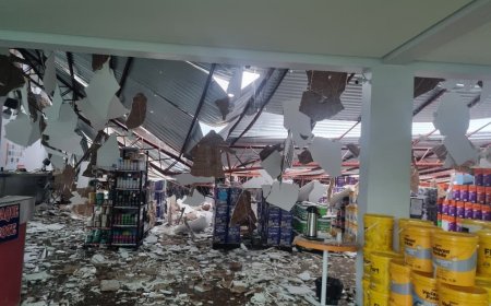 Temporal com Ventos Fortes Causa Estragos na Região