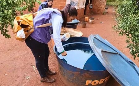 Chikungunya Avança em Dourados com Quase 4 Mil Notificações