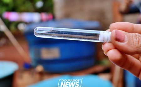 Sexta Morte por Chikungunya é Confirmada em Dourados