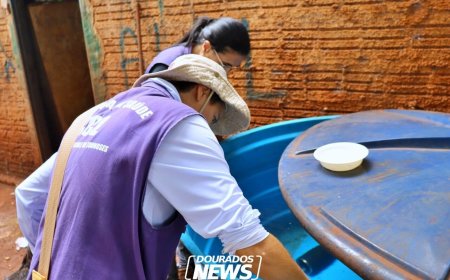 Chikungunya: Dourados Registra Quase 5 Mil Notificações e Dois Óbitos em Investigação