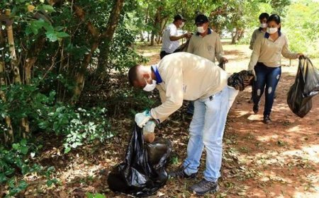 Alerta Máximo: Cinco Cidades de MS em Risco por Infestação do Aedes Aegypti