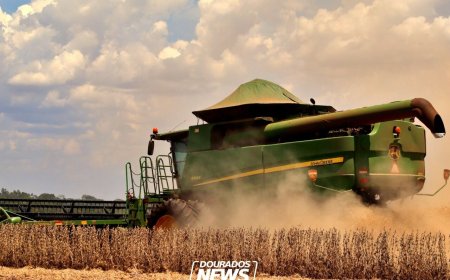 Agro brasileiro tem primeiro trimestre histórico com US$ 38 bilhões em exportações