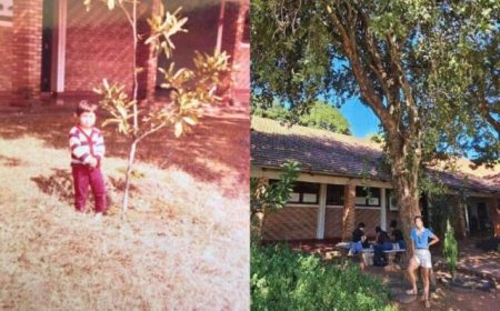 Filha Reencontra Árvore Plantada pelo Pai após 20 Anos