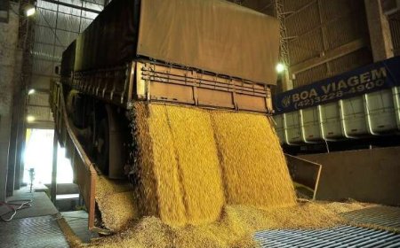 Motorista condenado a pagar R$ 87 mil por abandono de carga de soja
