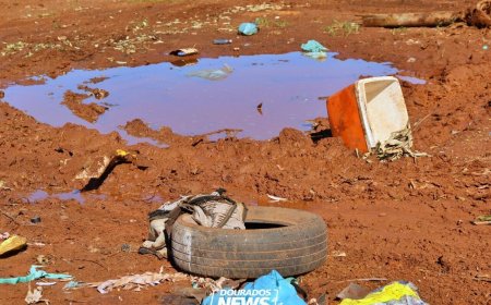 Dourados Confirma Primeira Morte por Chikungunya em Área Urbana