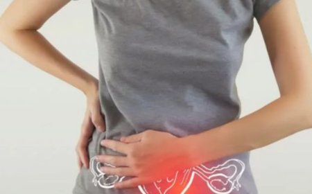 Endometriose: Saiba Mais Sobre a Doença que Afeta Cerca de Oito Milhões de Mulheres Brasileiras