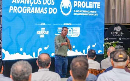 Políticas do Governo de MS para o agro alcançam êxito com avanços da cadeia do leite