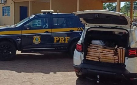 Motorista preso por transportar quase meia tonelada de maconha