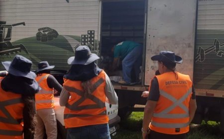Estado reforça articulação com municípios e Defesa Civil e amplia ações contra chikungunya