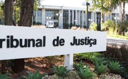TJ condena jovem acusado de matar gata 'Xispita' a 2 anos e 8 meses de prisão