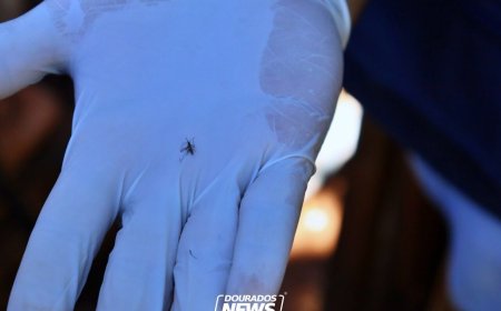 Dourados Ultrpassa 5 Mil Casos de Chikungunya e Registra 8 Mortes
