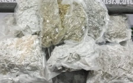 Rapaz é Preso com 18 Quilos de Skunk em Terminal Rodoviário