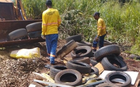 Prefeitura de Dourados Realiza Ação Emergencial Contra Chikungunya