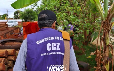 Dourados em Calamidade: Epidemia de Chikungunya Colapsa Sistema de Saúde
