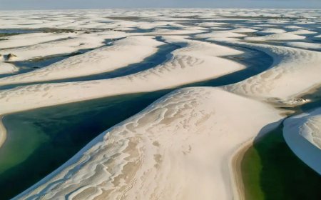 Relatório da Unesco destaca importância de sítios protegidos para o meio ambiente