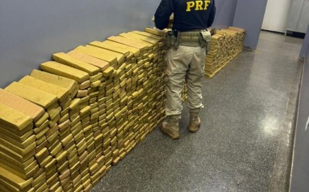 Quase uma tonelada de maconha é apreendida após perseguição e capotamento na BR-060