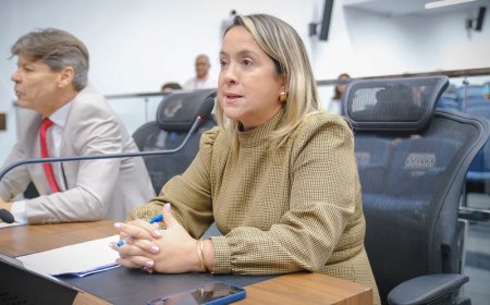 Lia Nogueira propõe botão de pânico no iFood para proteger mulheres em situação de violência
