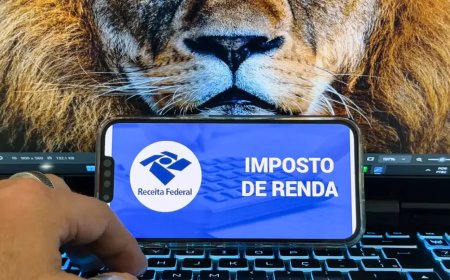 Receita abre consulta a lote da malha fina do Imposto de Renda