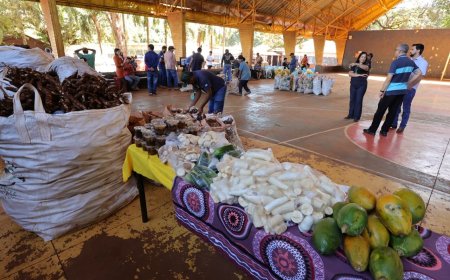 Prefeitura de Dourados marca marco em segurança alimentar das aldeias indígenas