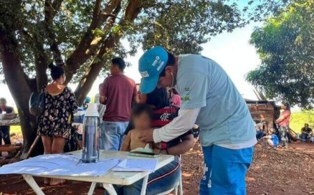 Chikungunya atinge 95% dos municípios de Mato Grosso do Sul