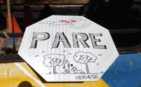 Placa de Pare Desaparece e Vira Desenho no Rita Vieira