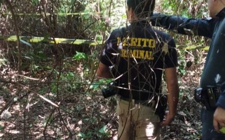 Tragédia em Douradina: Homem é Morto por Javali em Fazenda