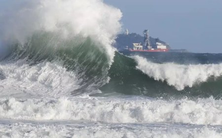 Bombeiros do RJ Realizam Mais de 8 Mil Salvamentos no Mar em 2026