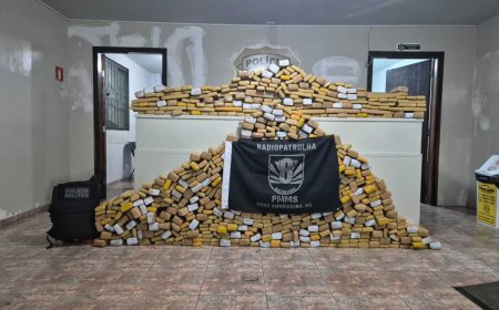 Ação Integrada Apreende Mais de Meia Tonelada de Maconha e Recupera Veículo Roubado