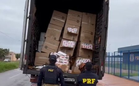 Caminhão de mudança escondia 50 mil maços de cigarros contrabandeados