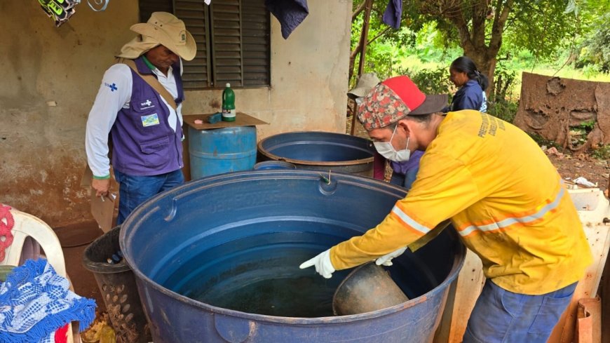 Epidemia de Chikungunya em Mato Grosso do Sul: Caixas d'Água se Tornam Focos de Proliferação