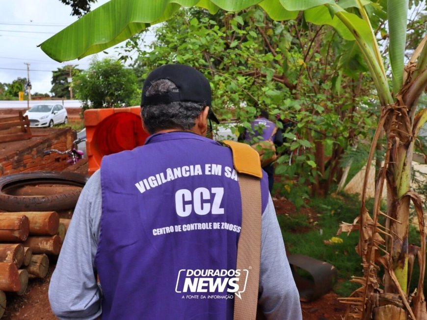 Dourados Cria Centro de Operações para Combater Chikungunya