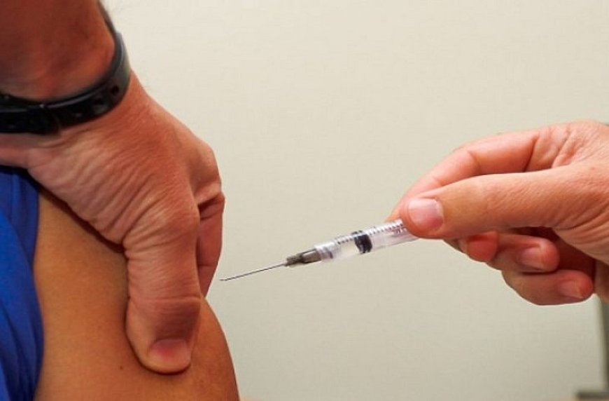 Mato Grosso do Sul Inicia Vacinação Contra Chikungunya