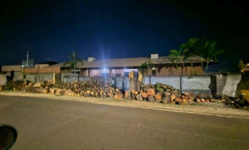 Seis Árvores Cortadas em Campo Grande