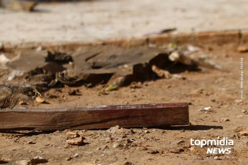 Irmão Agride Irmã com Pedaço de Madeira em Amambai