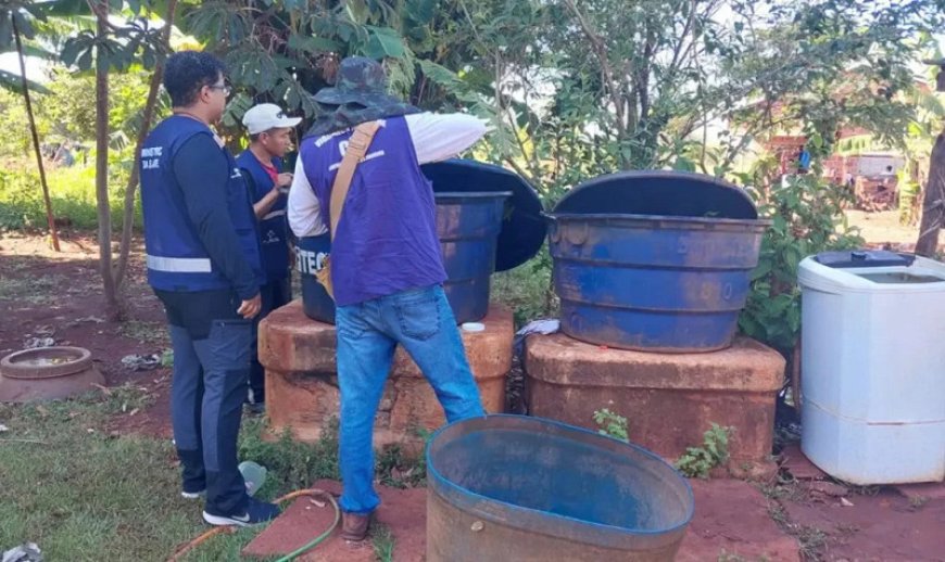 Dourados Recebe Reforço Contra Chikungunya