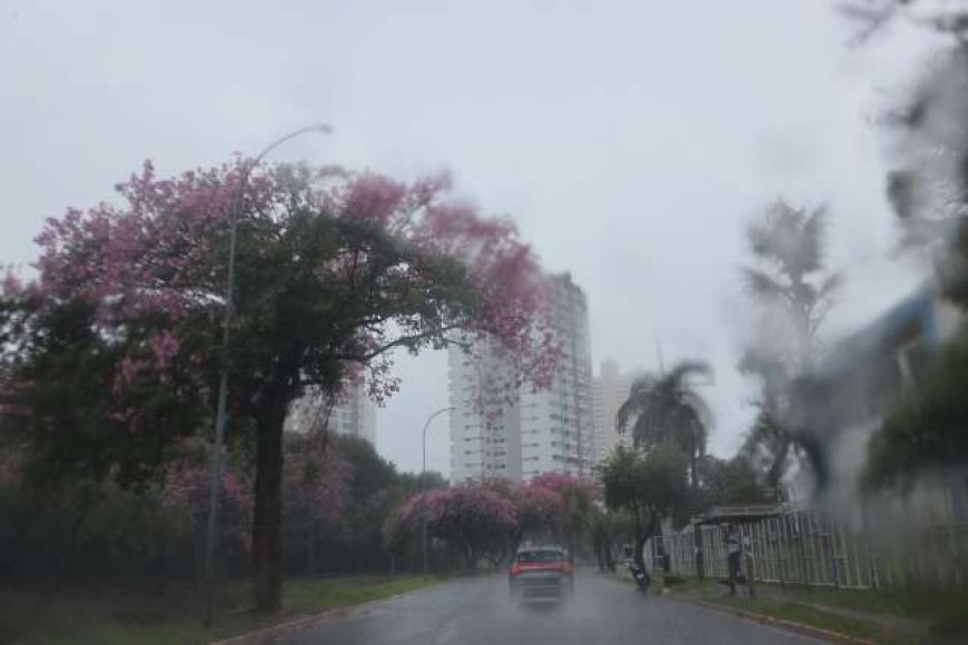 Mato Grosso do Sul Enfrenta Mudanças Climáticas
