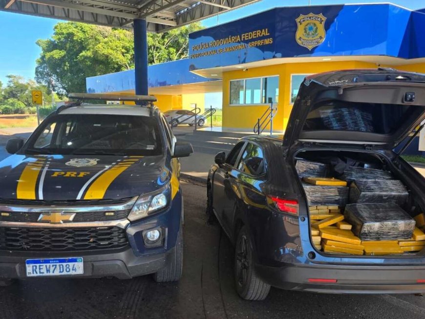 Maconha apreendida com carioca na BR-376 totalizou mais de 1,2 tonelada
