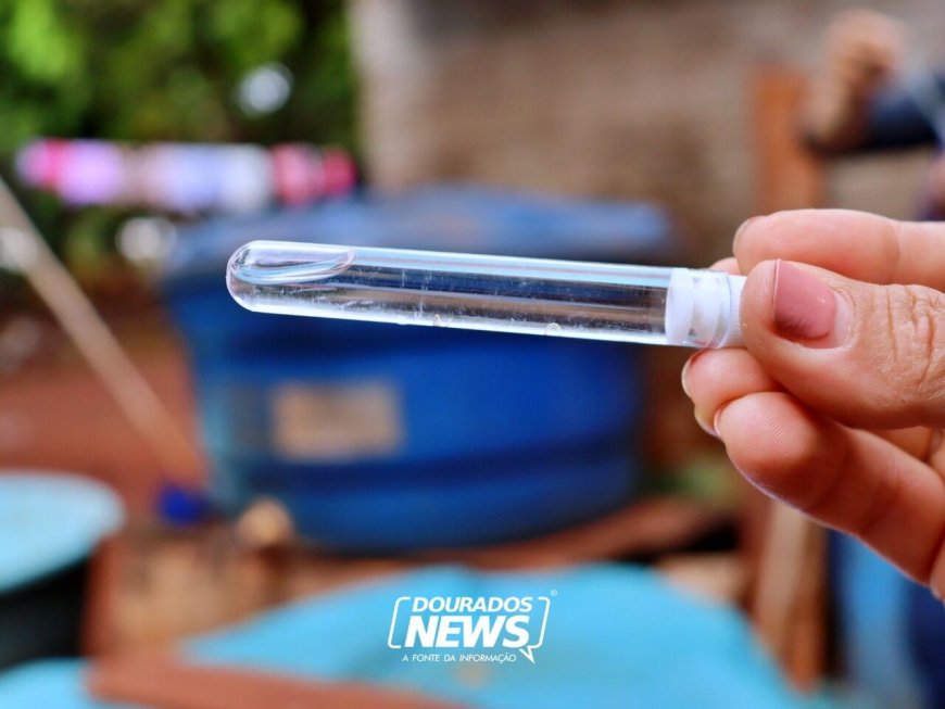 Chikungunya: Sexta Morte Confirmada em Dourados