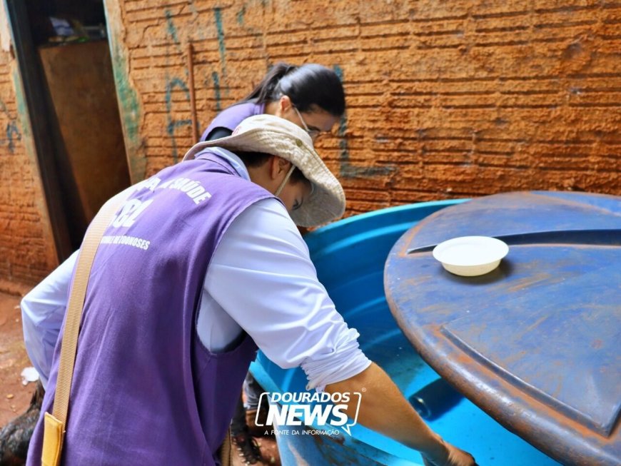 Chikungunya: Dourados Registra Quase 5 Mil Notificações e Dois Óbitos em Investigação
